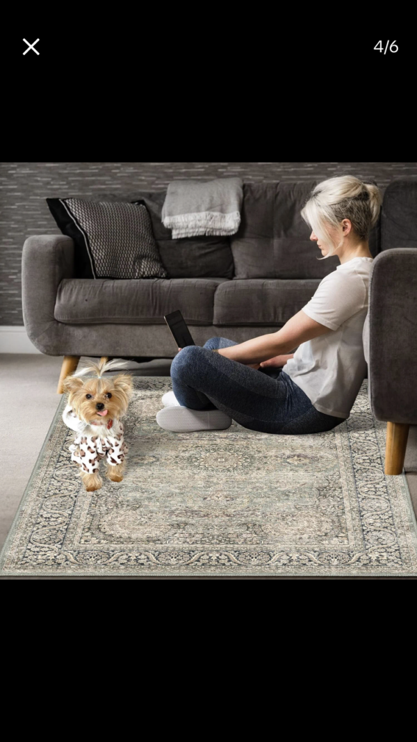 Home living room kitchen mat