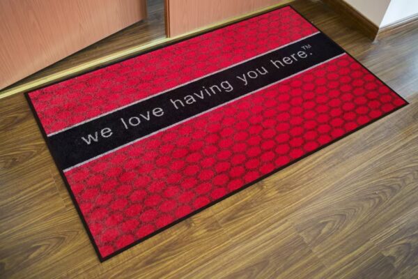 Door mat and bathroom mat
